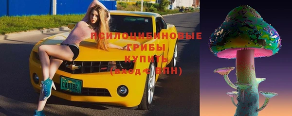бошки Алексин