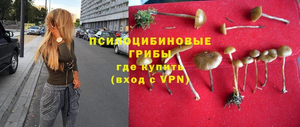 трава Алзамай