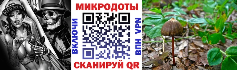 сколько стоит  Шумиха  Галлюциногенные грибы Psilocybe 